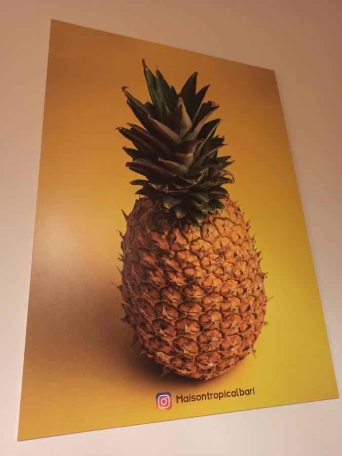 Suite Maison Tropical - Luxury Apartment In バーリ エクステリア 写真