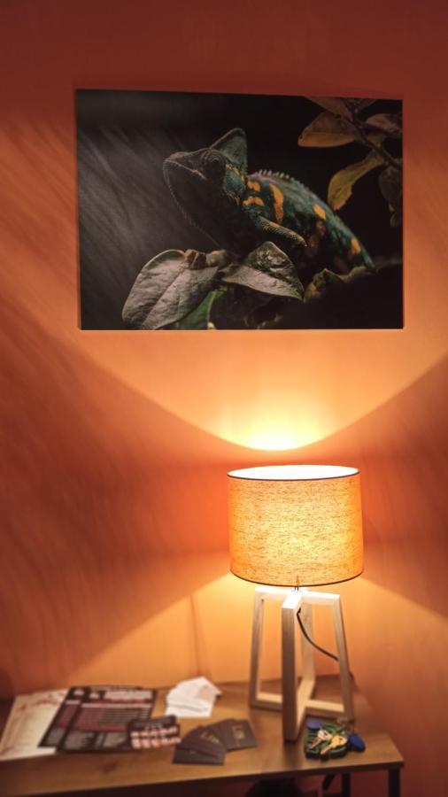 Suite Maison Tropical - Luxury Apartment In バーリ エクステリア 写真